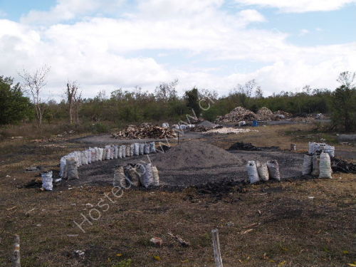 Charcoal burning, near Abreus