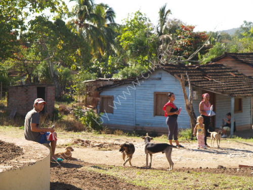 My family and other animals