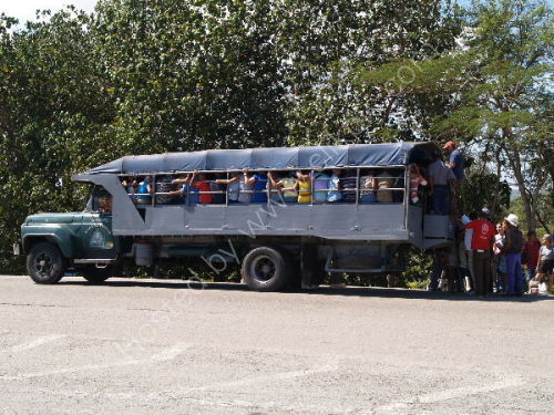 Mass transport system