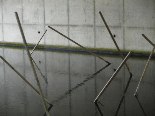 River Rubbish