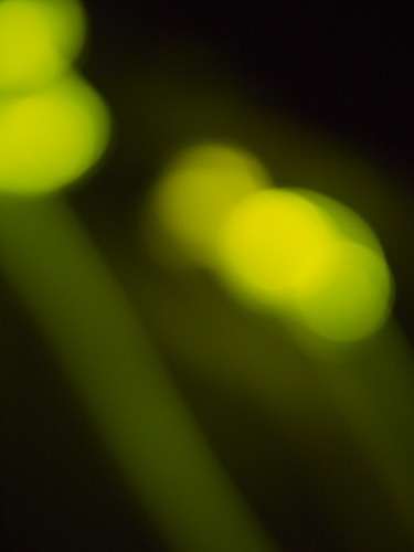 Light 8