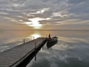 Lots of new images to view
