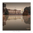  Buckingham Palace Reflection