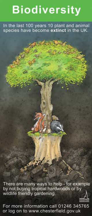 Biodiversity