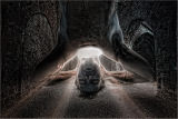 I Free My Mind