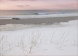 Kind Winter