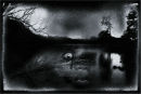 The Lake Incident