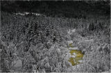 Minerals