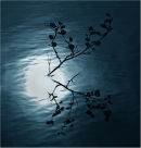 Moonlit Autumn