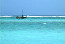 maldives fishing