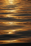 Ripples