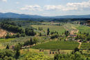 view from san gimignano