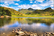 Blea Tarn in Summer 4