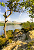 Coniston
