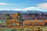 Clough Head