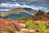 Blencathra from Walla Crag.