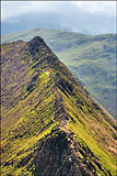 Striding Edge, Helvellyn. 