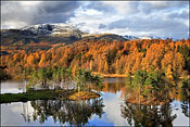 Tarn Hows in Autumn 5
