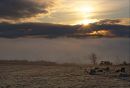 Sunrise over Freezing Fog