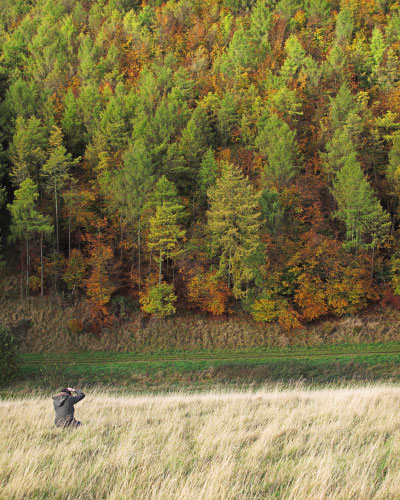 'Plantation Heaven'