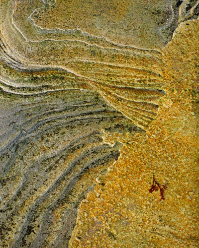 'Rock patterns'