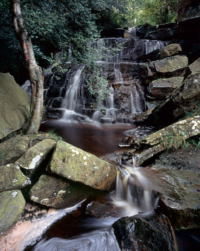 'Magic Falls'
