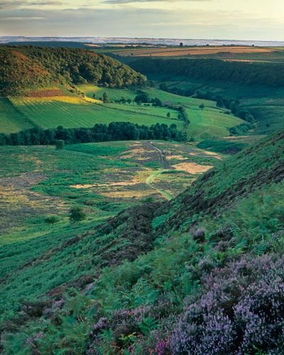 'Heathered Horcum'