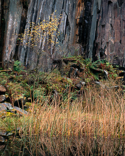 'Borrowdale Quarry'