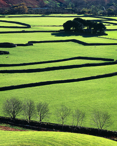 'Barns and Walls'
