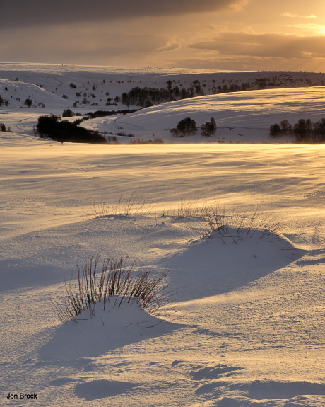 'Fen Bog Sunset'