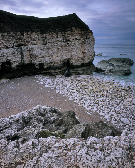 'Thornwick Bay Study'