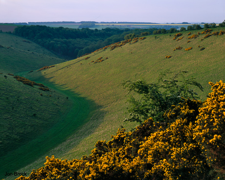 'Well Dale at Dawn'