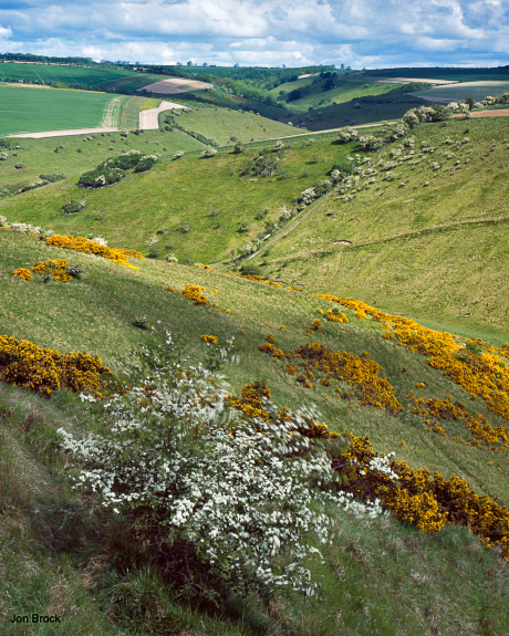 'From Sylvan Dale to Scoar Dale'