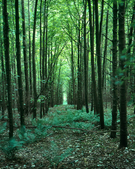 'Tun Tunnel'