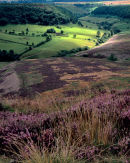 'Spotlight on Horcum'