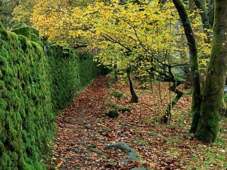 'A walk in Langdale'