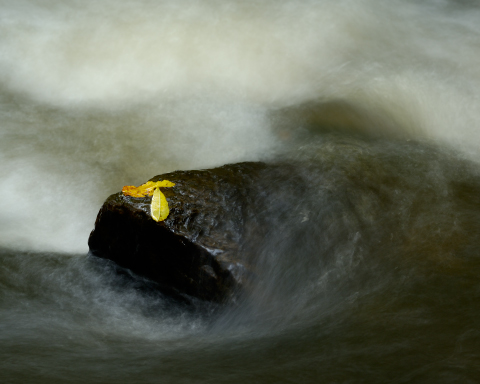 'Autumn River'
