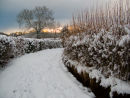 After the Storm