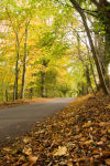 Castle Combe Lane