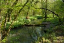 SPRING AT EDFORD 