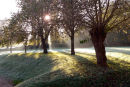 FROSTY MORNING