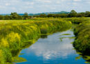 Somerset Levels