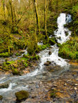 HARRIDGE WATERFALL