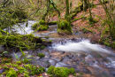 River at Harridge