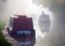 Misty Morning