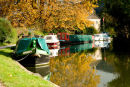 BATHAMPTON