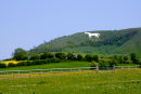 WESTBURY WHITE HORSE