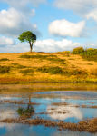 Priddy Pond