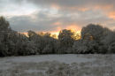 Sunrise Benter