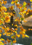 Autumn River Avon